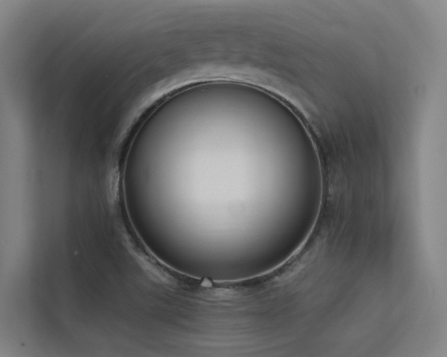 X0000113261507200909101448