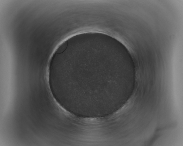 X0000113261508200909101448