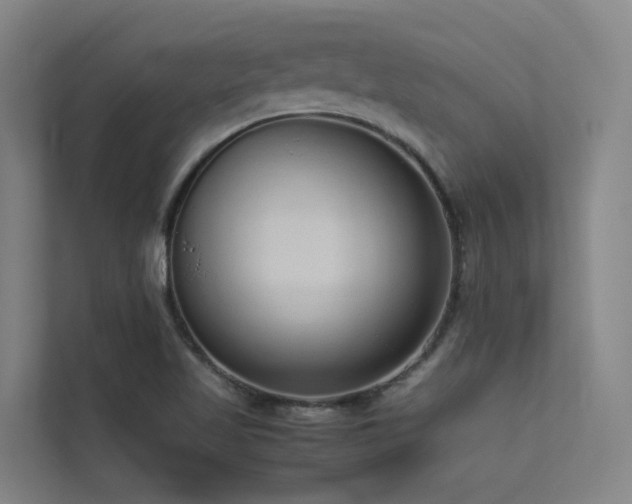 X0000113261509200909101448