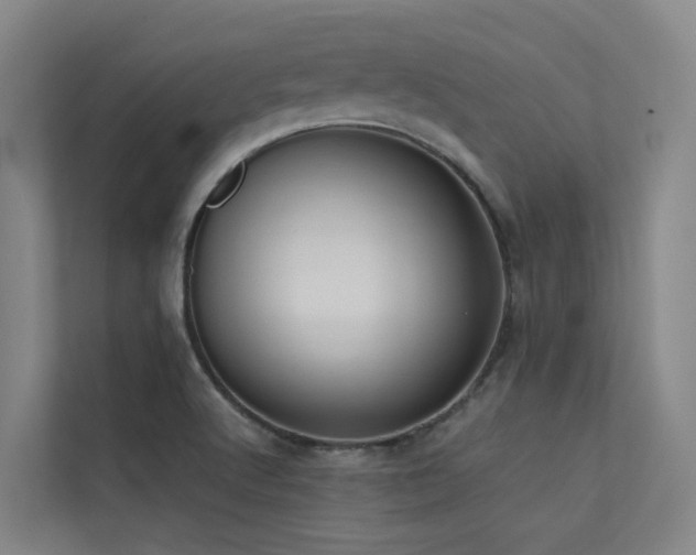 X0000113261512200909101448