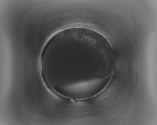 X0000113261515200909101448