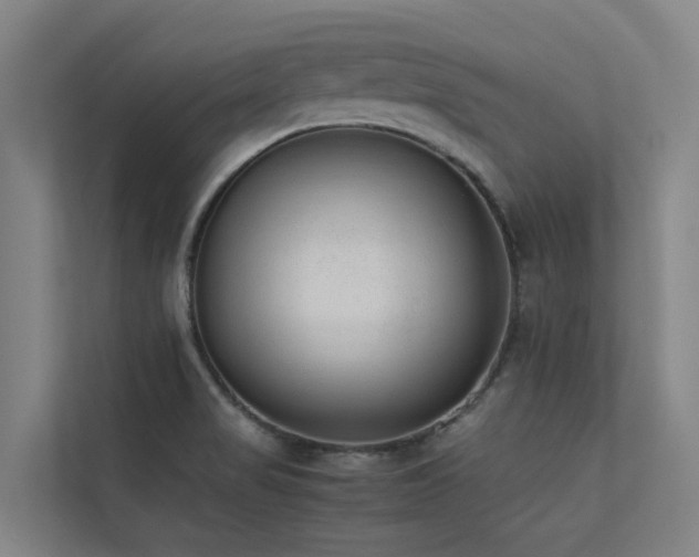 X0000113261517200909101448