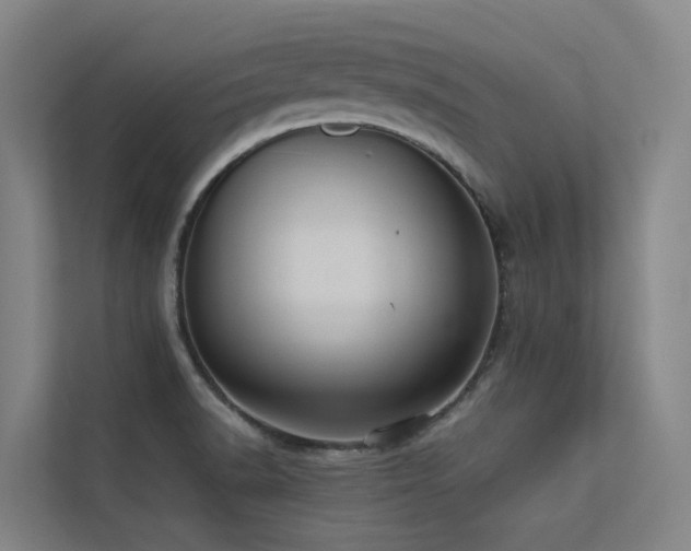 X0000113261518200909101448