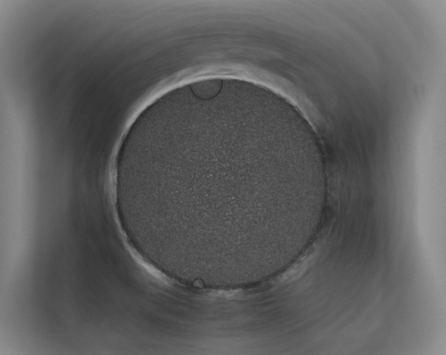 X0000113261519200909101448