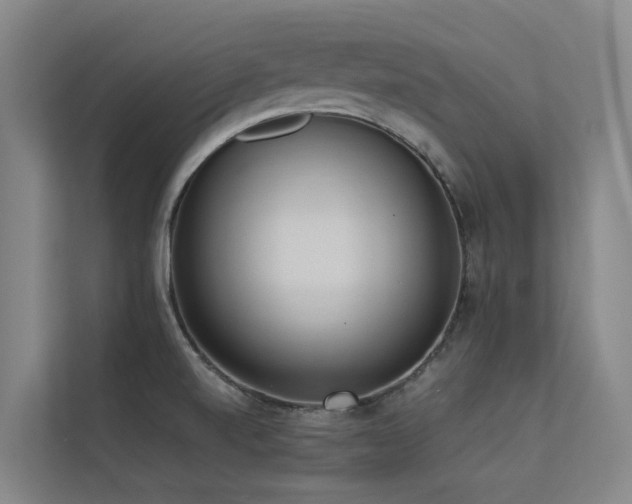 X0000113261520200909101448