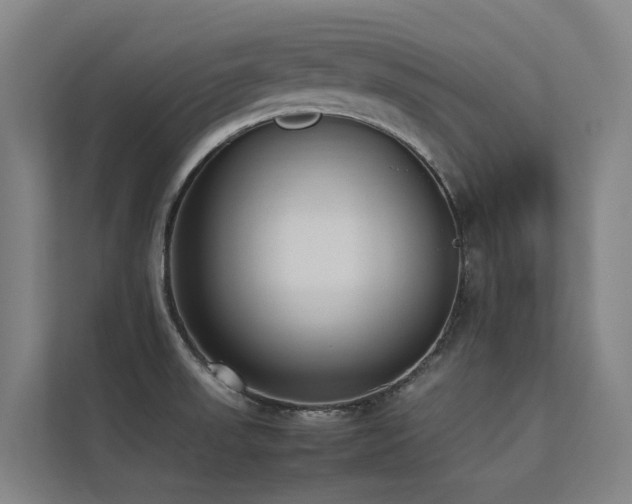 X0000113261523200909101448