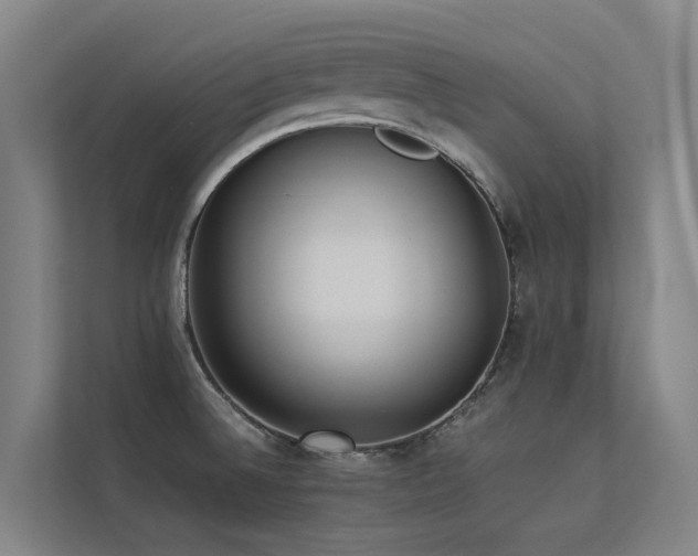 X0000113261524200909101448