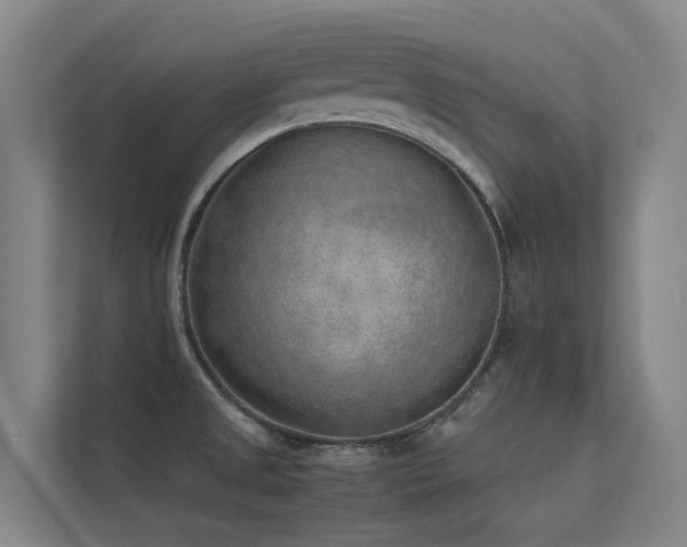 X0000113261525200909101449