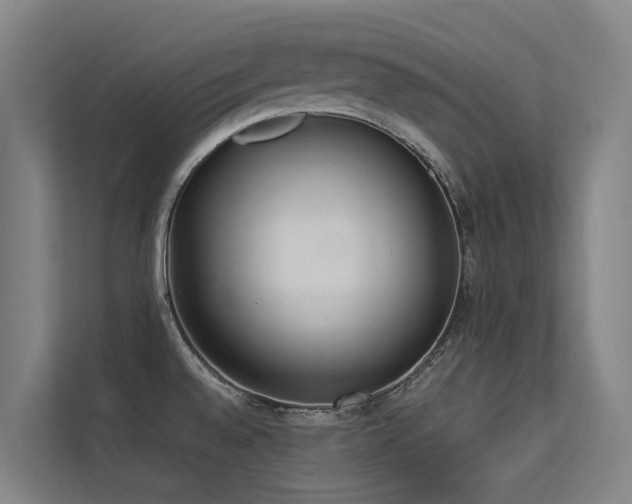 X0000113261528200909101449