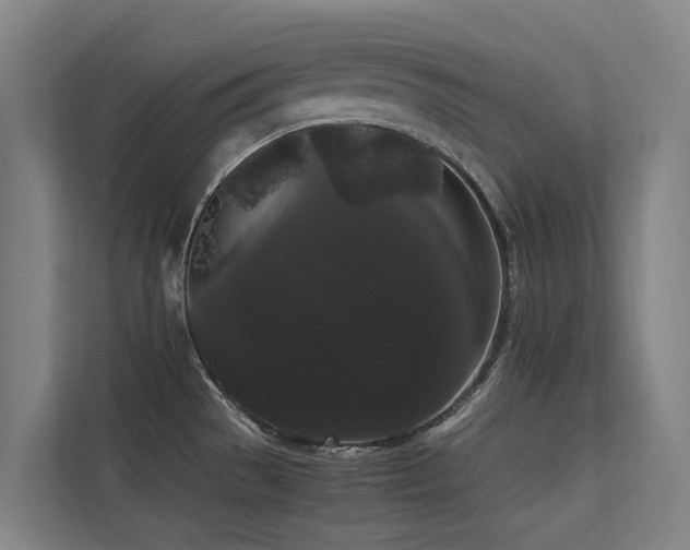 X0000113261529200909101449