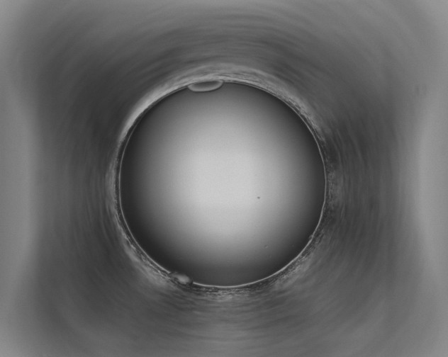 X0000113261530200909101449