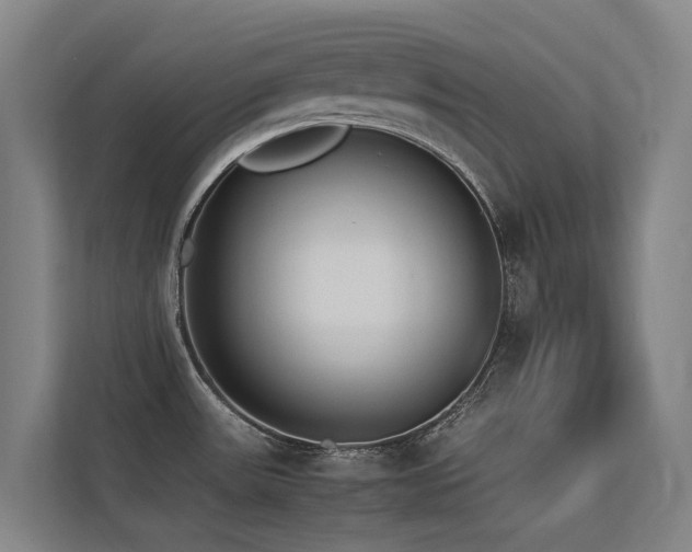 X0000113261531200909101449