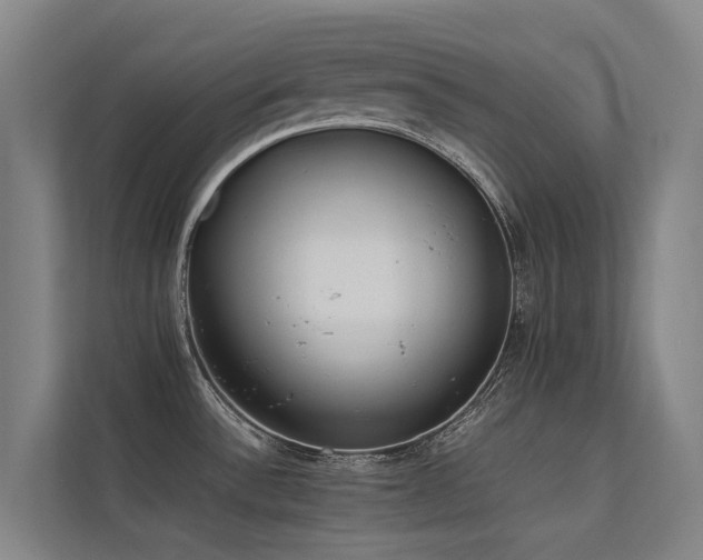 X0000113261532200909101449