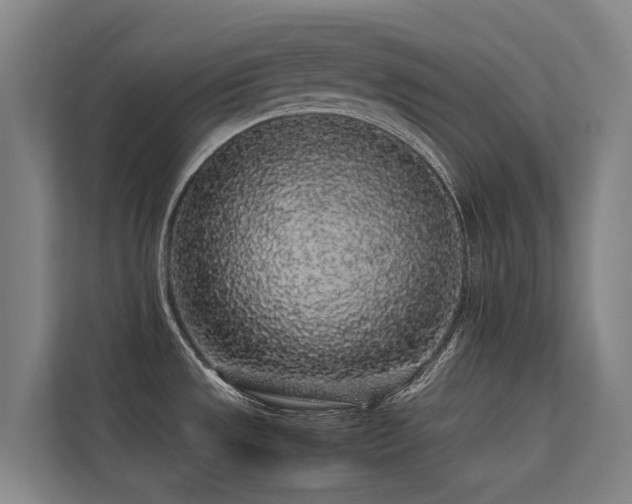 X0000113261533200909101449