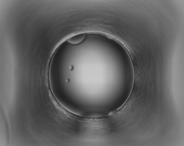 X0000113261534200909101449