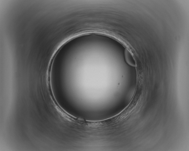 X0000113261535200909101449