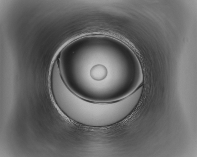 X0000113261536200909101449