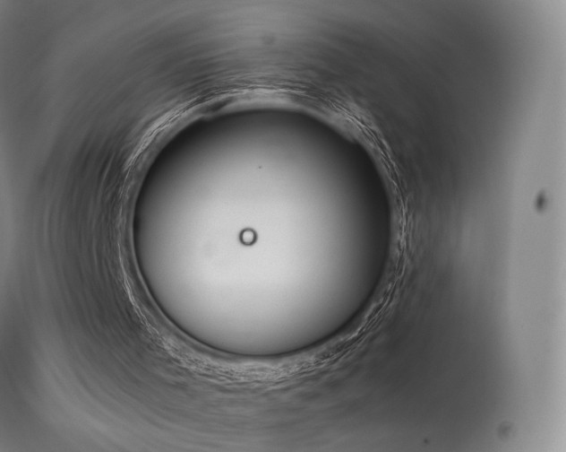 X0000113260001200909171701