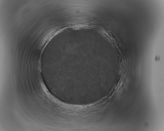 X0000113260002200909171701