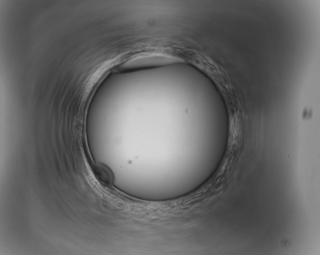 X0000113260003200909171701