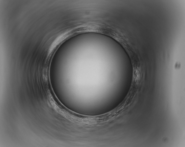 X0000113260004200909171700