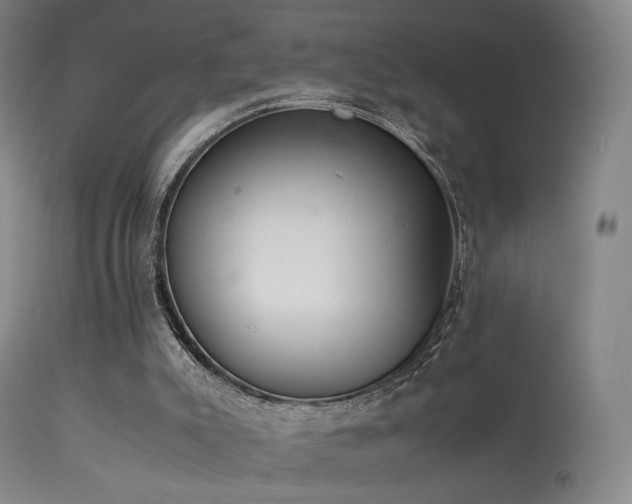 X0000113260007200909171700