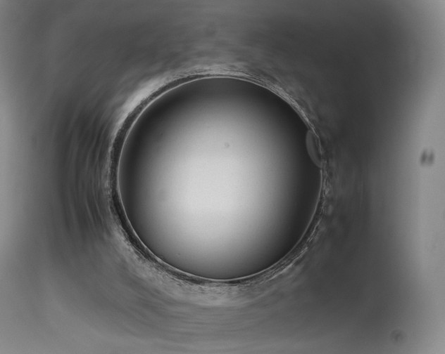 X0000113260008200909171700