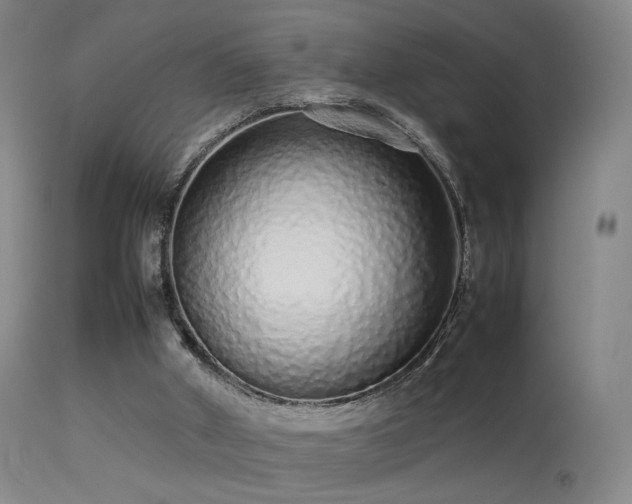 X0000113260010200909171700