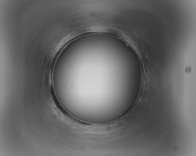 X0000113260011200909171700