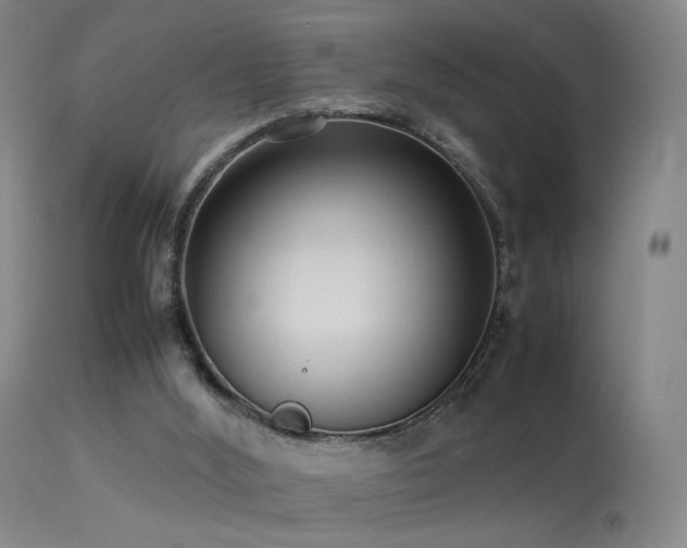 X0000113260012200909171700