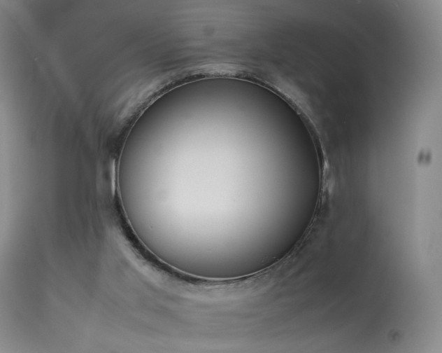 X0000113260013200909171700