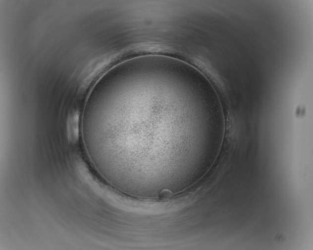 X0000113260014200909171700