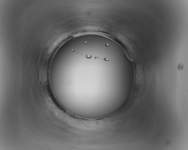 X0000113260015200909171700