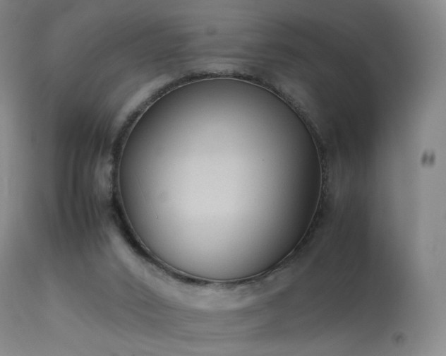 X0000113260016200909171700