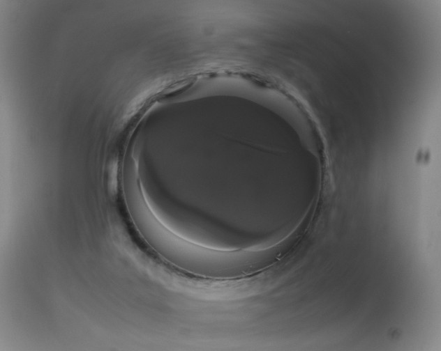 X0000113260019200909171700