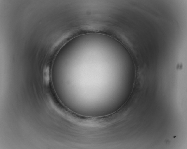 X0000113260020200909171700