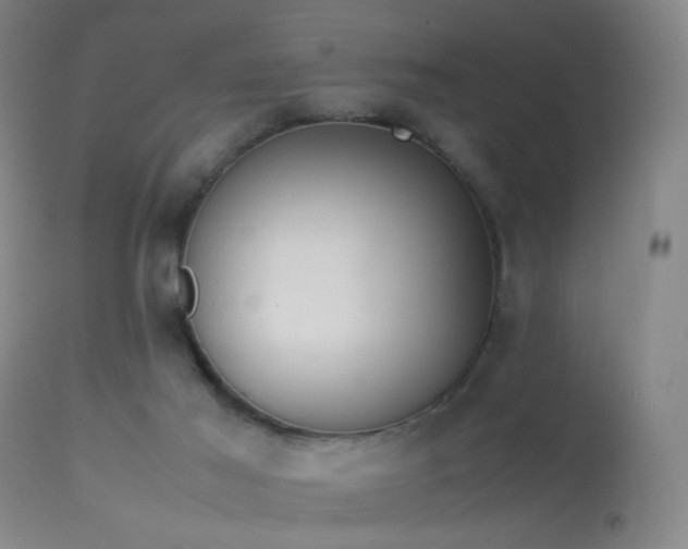 X0000113260021200909171700