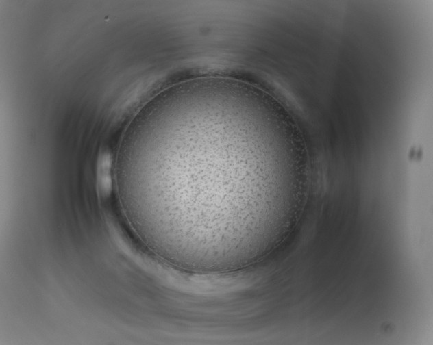 X0000113260022200909171700