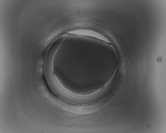 X0000113260023200909171700