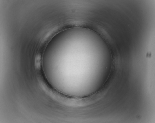 X0000113260024200909171700