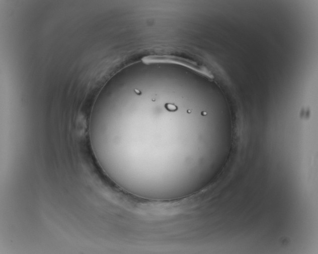 X0000113260025200909171700