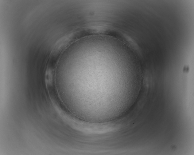 X0000113260026200909171700