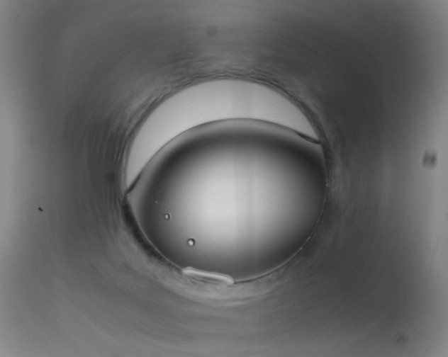 X0000113260027200909171700