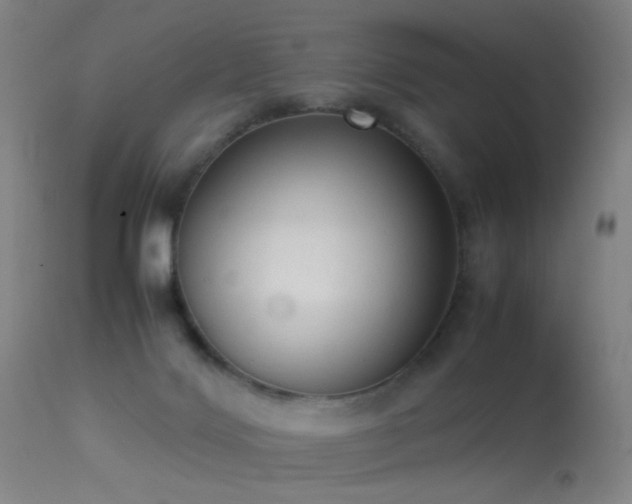 X0000113260028200909171700