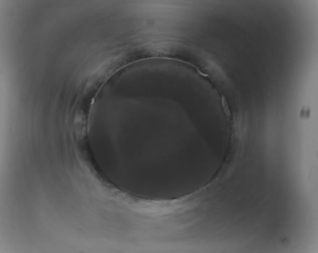 X0000113260029200909171700