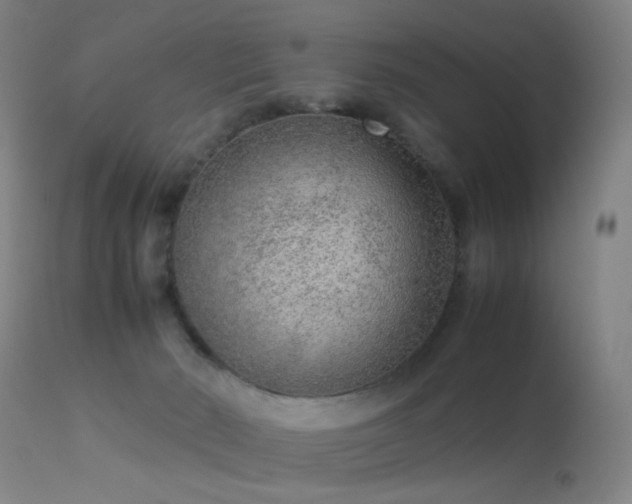 X0000113260030200909171700