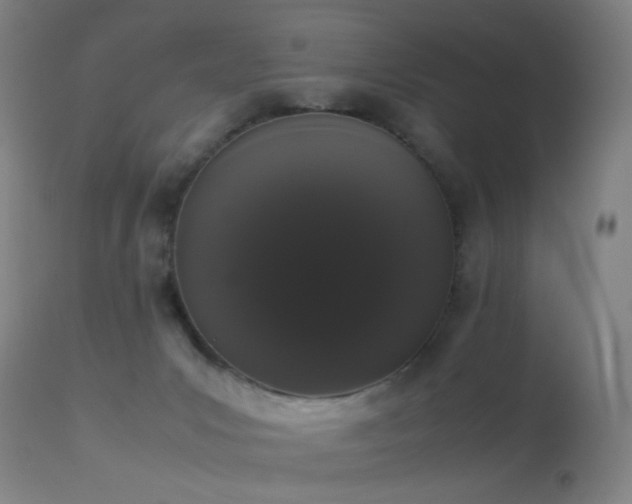 X0000113260031200909171700