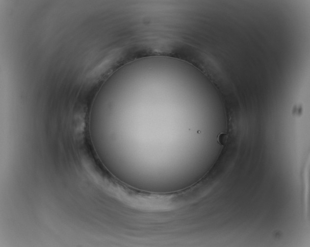 X0000113260032200909171700