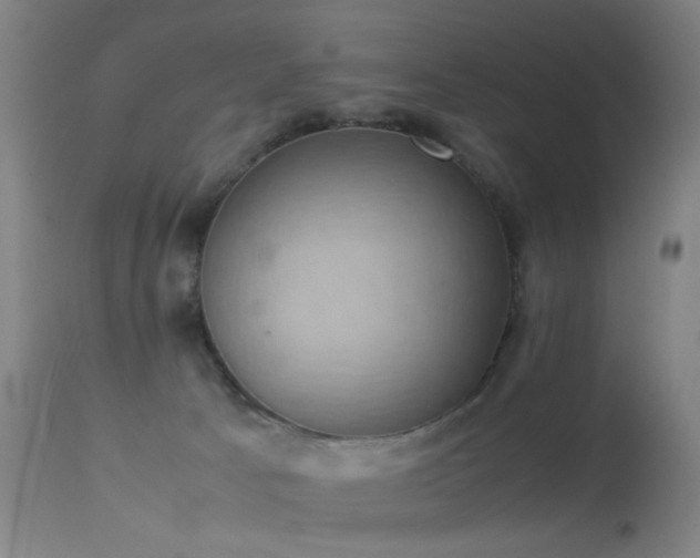 X0000113260033200909171700