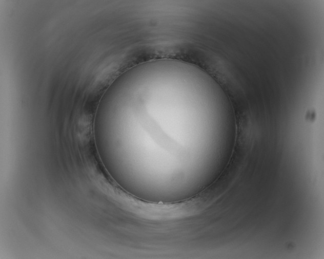 X0000113260034200909171700